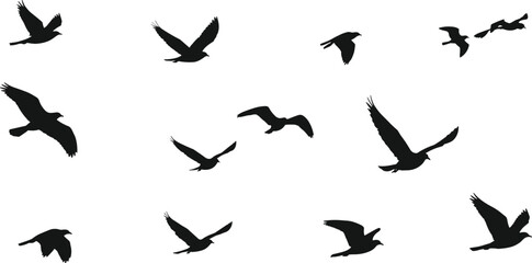 Flying bird silhouettes collection, black vector design, flock of birds in flight, wings spread, wildlife illustration, nature animal graphic art