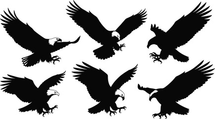 Majestic Bald Eagle Silhouettes in Flight, Hunting Pose, Black and White Vector Set for Logos, Tattoos, and Graphic Design