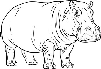 Fototapeta premium Hippopotamus outline drawing. Bulky water animal with calm pose and detailed form 
