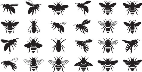 Set of palm tree and insect silhouettes with a seamless pattern design 