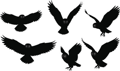 Silhouette owls flying landing perched wings spread nocturnal birds wildlife illustration isolated black white background night nature animal design art