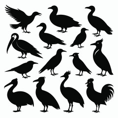 Fototapeta premium Collection of 15 diverse bird silhouettes vector illustration scalable eps icon set for graphic design silhouette vector illustration white background