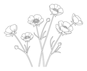 Buttercup Flower Drawing - Minimalist Vector