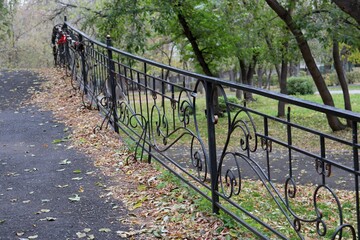 wooden bridge in the woods