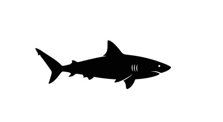 Obraz premium Silhouette of a shark in black against a white background, a marine predator.