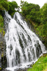 北海道知床 オシンコシンの滝 2025年8月