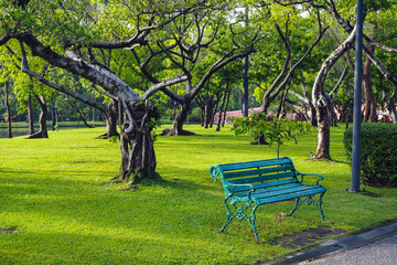 Thailand 13  October 2025 - A photo taken at Chatuchak Park where rain just fell on the trees.
