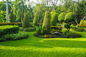 Thailand 13  October 2025 - A photo taken at Chatuchak Park where rain just fell on the trees.