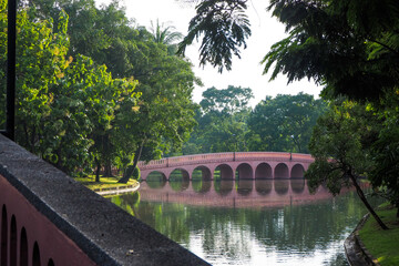 Thailand 13  October 2025 - A photo taken at Chatuchak Park where rain just fell on the trees.