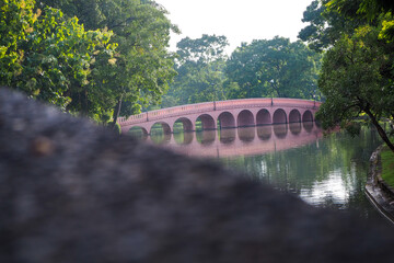 Thailand 13  October 2025 - A photo taken at Chatuchak Park where rain just fell on the trees.