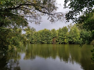 Obraz premium Herbstlandschaft am Waldteich mit Regenwolken 