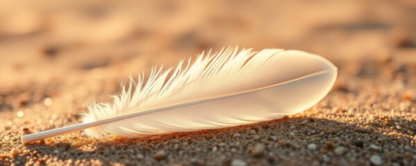 Soft white feather lying on golden sand during sunset with warm light illuminating delicate textures