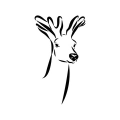 maral, Altai deer, vector sketch