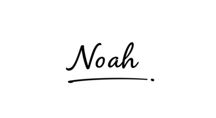 Elegant Handwritten Signature of the Name Noah with Underline.