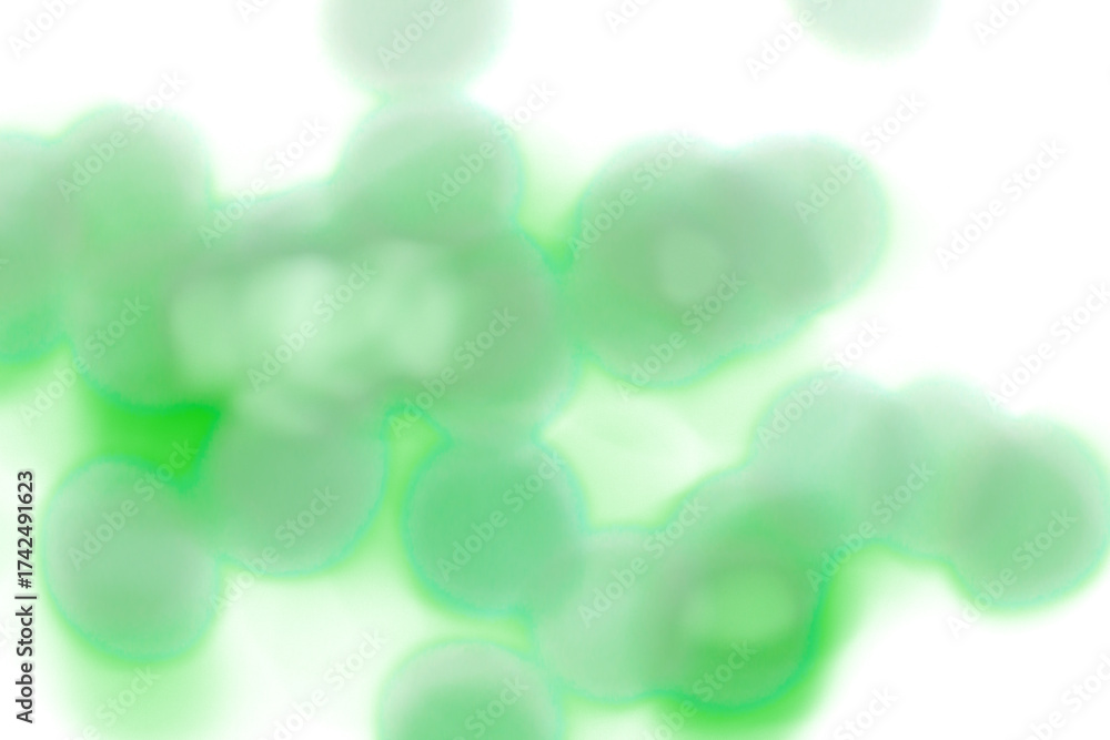 Wall mural green glowing blur lights on transparent background. abstract soft bokeh effect with smooth gradient