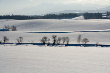 冬晴れの雪の丘陵地帯
