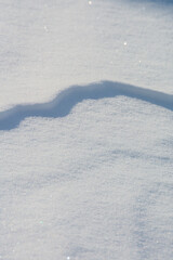 雪原にできた風紋
