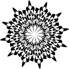 a mandala, which is a symbolic diagram with spiritual and ritual significance in Hinduism and Buddhism. 