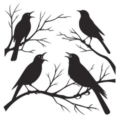 birds on a branch