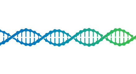 A stylized dna double helix strand with a blue to green gradient on a plain white background design