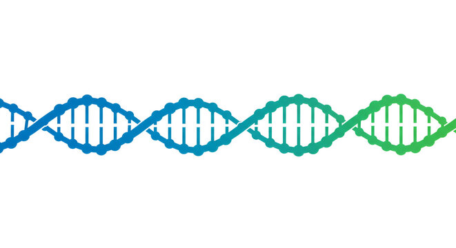 A stylized dna double helix strand with a blue to green gradient on a plain white background design