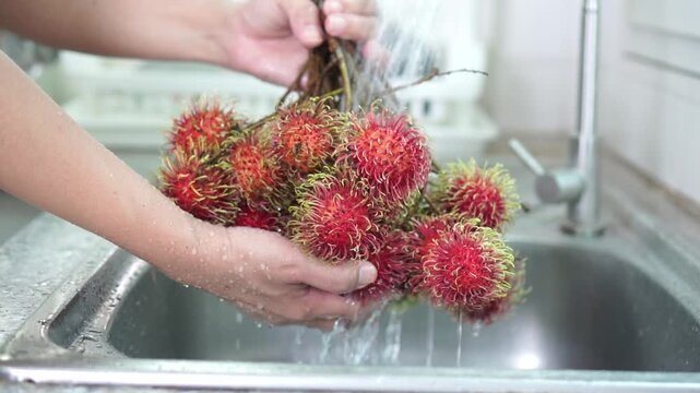 Close-up of vibrant red rambutan cluster being wash under running tap water in stainless steel kitchen sink, hold by hand gripping fruit's stem. Freshness , and tropical hygiene. Slow motion.