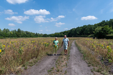 Senior couple walking along a dirt road, surrounded by a sunny sunflower field under a clear blue sky, experiencing active retirement and enjoying life outdoors during summer