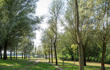 Couple walking hand in hand on a leafy lakeside dirt path, surrounded by green trees and calm water, enjoying a sunny, peaceful summer stroll together