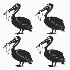 pelicans on a white background