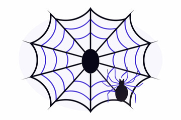 Fototapeta premium spider and web