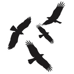 hawk in flight vector