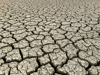 withdrawal of water due to drought, desertification, climate change, cracked soil texture.