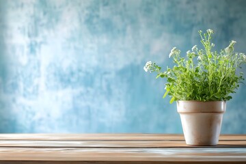 White Flowers in Cream Pot on Wooden Table Blue Background