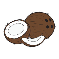 A whole coconut and a halved coconut with a slice, showcasing this tropical fruit and its unique texture