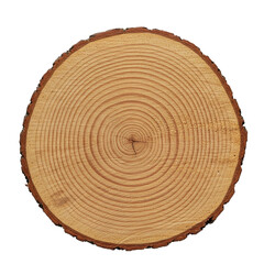 Fototapeta premium Detailed cross-section of a tree trunk showing annual growth rings