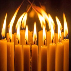 Twelve lit candles with yellow wax in a dark setting, offering light