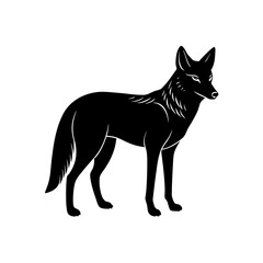 vector illustration of a wolf