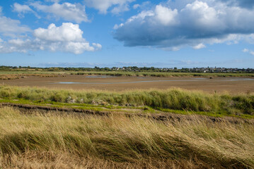 Marais de Pen Mané, site Natura 2000, Locmiquélic, 56, Morbihan, région Bretagne, France © JAG IMAGES