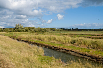 Marais de Pen Mané, site Natura 2000, Locmiquélic, 56, Morbihan, région Bretagne, France © JAG IMAGES