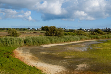 Marais de Pen Mané, site Natura 2000, Locmiquélic, 56, Morbihan, région Bretagne, France © JAG IMAGES