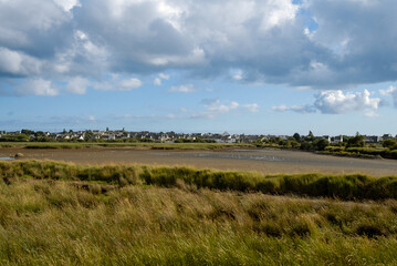 Marais de Pen Mané, site Natura 2000, Locmiquélic, 56, Morbihan, région Bretagne, France © JAG IMAGES