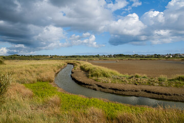 Marais de Pen Mané, site Natura 2000, Locmiquélic, 56, Morbihan, région Bretagne, France