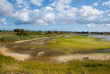 Marais de Pen Mané, site Natura 2000, Locmiquélic, 56, Morbihan, région Bretagne, France © JAG IMAGES
