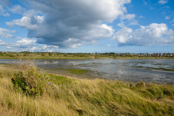 Marais de Pen Mané, site Natura 2000, Locmiquélic, 56, Morbihan, région Bretagne, France © JAG IMAGES