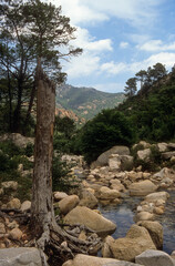 Site prot&eacute;g&eacute;, massif de l'Osp&eacute;dale, Corse