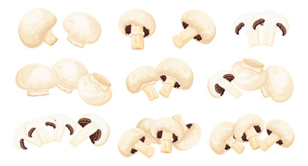 Set of fresh champignon mushrooms in cartoon style. Vector illustration of various healthy, tasty champignons: whole, half, sliced ​​isolated on white background.Mushrooms for cooking culinary dishes.