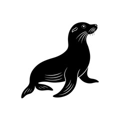 sea lion isolated on white