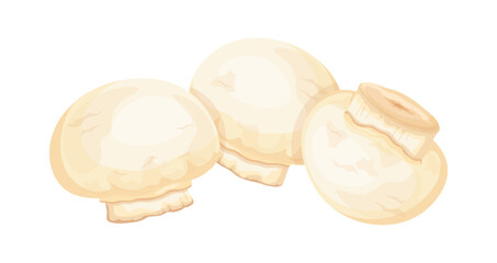 Group of small mushrooms champignons in cartoon style. Vector illustration of fresh whole champignons isolated on white background.