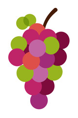 Minimalist vector illustration of a colorful grape bunch on white background, suitable for design projects and branding