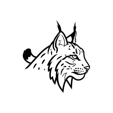 Black and white line art illustration of a lynx head.